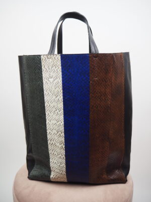 Céline Multicolor Striped Python Leather Cabas Tote Bag