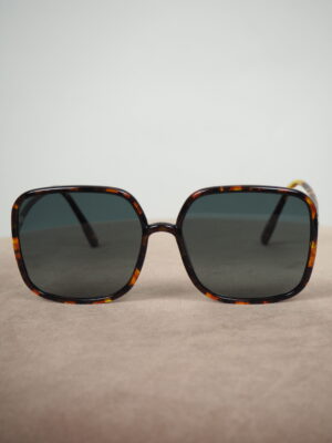 Dior Tortoise So Stellaire Sunglasses