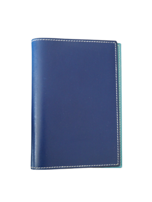 Hermès Blue Leather Vision Cover